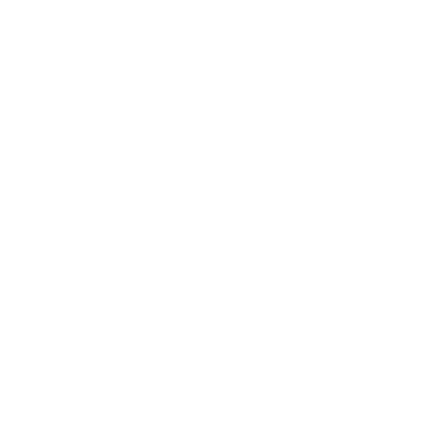 1964 Beetle Project